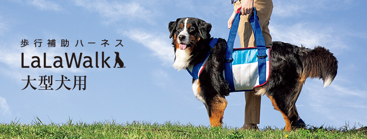 大型犬用｜≪公式≫トンボwith 歩行補助ハーネスLaLaWalk・ファッショナブルで機能的なウエア ACTIVE WAN